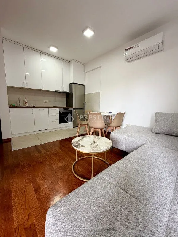 Rent, one bedroom apartment, 45m², Ljubović, Podgorica