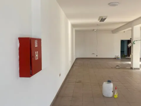 Izdavanje, poslovni prostor, 480m², Zemun Polje, Beograd - image 8