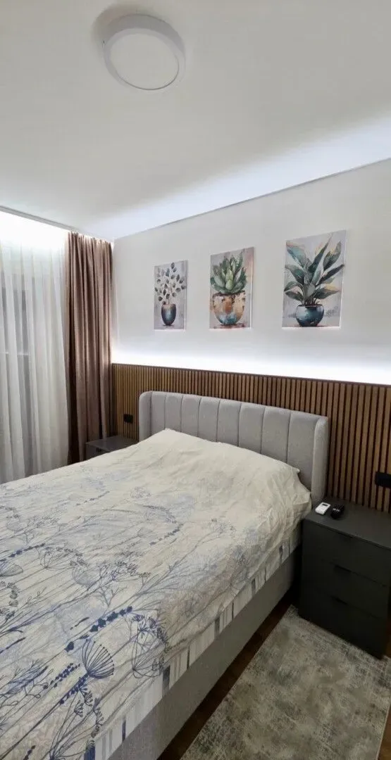 Izdavanje, jednosoban stan, 49m², Central Point, Podgorica
