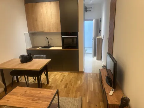 Izdavanje, garsonjera, 25m², Zabjelo, Podgorica - image 5