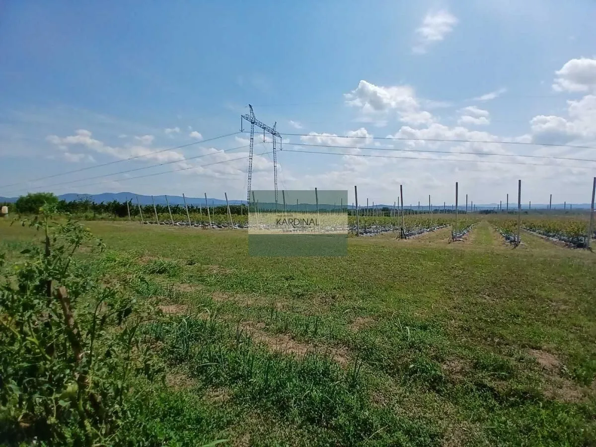 Prodaja, plac, 285100m², Medjureč, Jagodina
