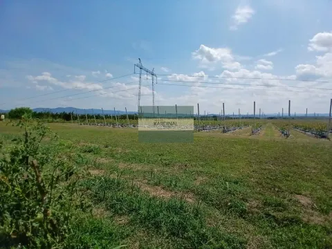 Prodaja, plac, 285100m², Medjureč, Jagodina - image 21
