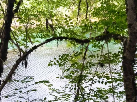 Sale, land lot, 4700m², Danilovgrad, Crna Gora - image 6