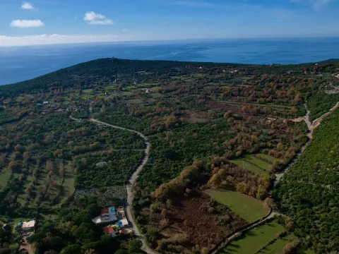 Sale, land lot, 1500m², Zagora, Kotor - image 19