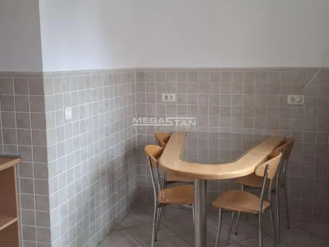 Izdavanje, četvorosoban stan, 203m², Vračar Hram, Vračar Sve Podlokacije - image 15