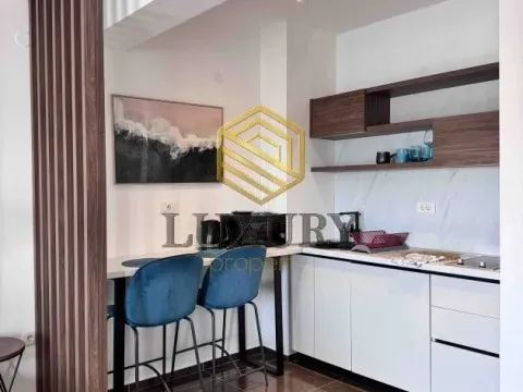 Rent, studio apartment, 30m², Bečići, Budva - image 8