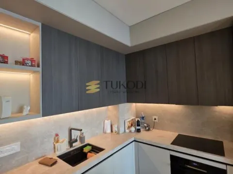 Izdavanje, dvosoban stan, 54m², Savski Venac, Beograd - image 7