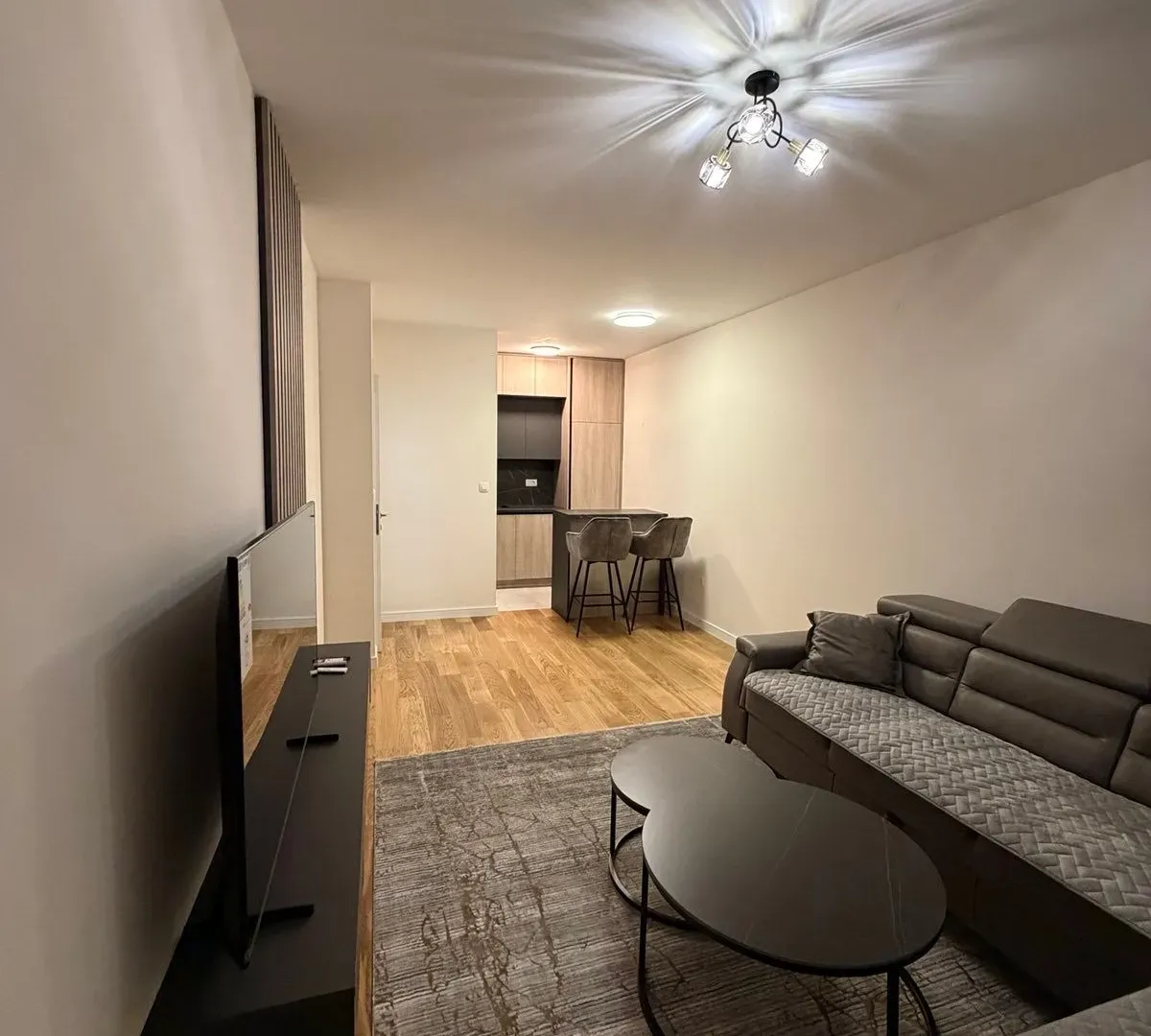 Rent, one bedroom apartment, 47m², Central Point, Podgorica