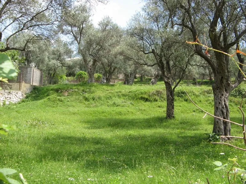 Sale, land lot, 3490m², Bar, Crna Gora