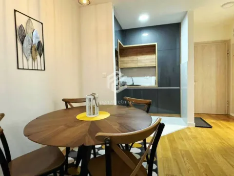 Izdavanje, jednosoban stan, 43m², Central Point, Podgorica - image 3