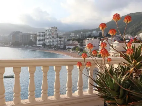 Rent, hospitality venue, 1500m², Bečići, Budva - image 3