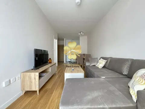 Rent, one bedroom apartment, 43m², Central Point, Podgorica - image 2