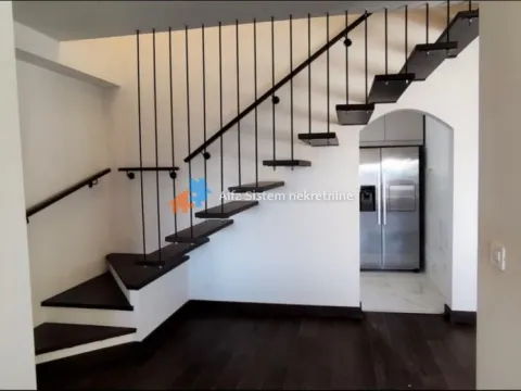 Izdavanje, stan, 231m², Vračar Hram, Vračar Sve Podlokacije - image 8