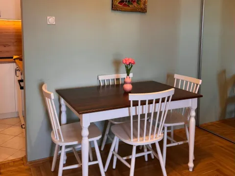 Rent, one bedroom apartment, 45m², Zabjelo, Podgorica - image 9