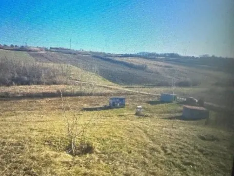 Sale, land lot, 17800m², Jasenak, Obrenovac - image 5