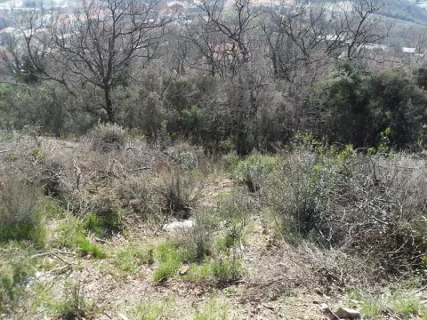 Prodaja, plac, 375m², Kotor, Crna Gora - image 2