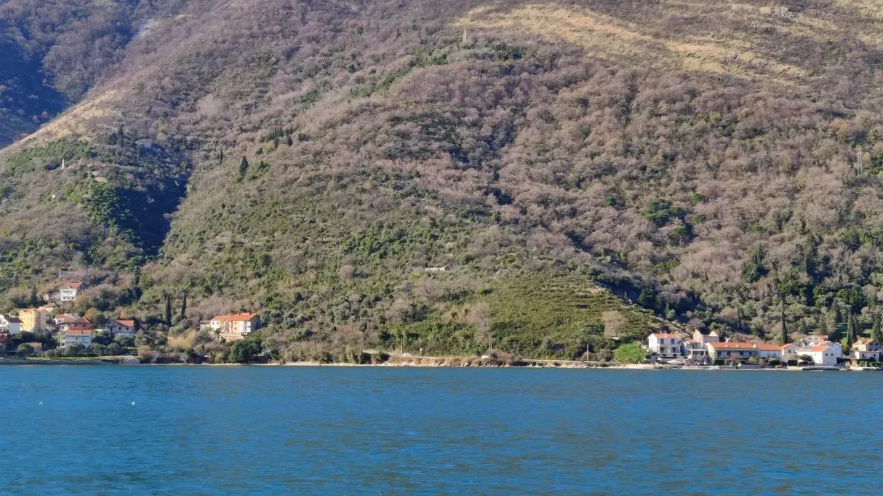 Prodaja, plac, 50000m², Kamenari, Herceg Novi