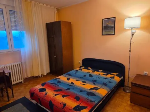 Izdavanje, dvosoban stan, 47m², Zvezdara Sve Podlokacije, Beograd - image 3