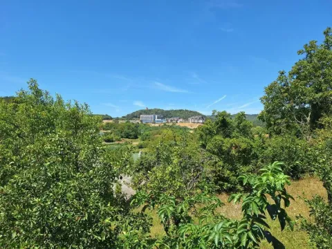 Prodaja, kuća, 253m², Banja Vrdnik, Irig - image 53