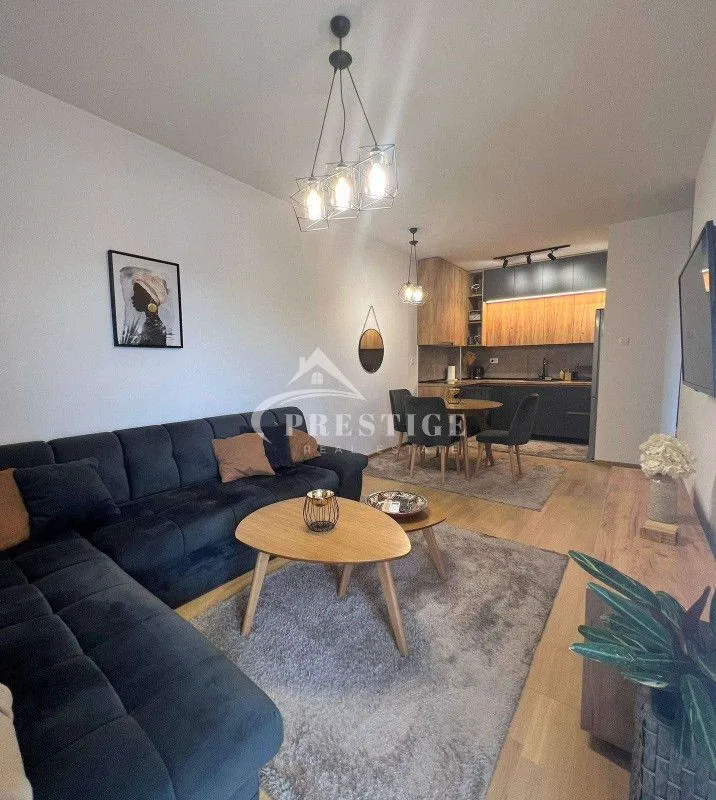 Rent, one bedroom apartment, 45m², Pobrežje, Podgorica
