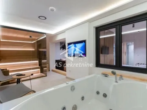 Izdavanje, dvosoban stan, 55m², Južni Bulevar, Vračar Sve Podlokacije - image 17