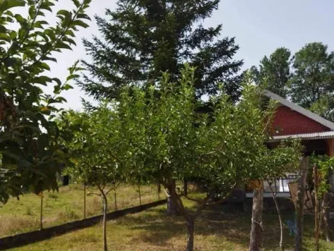 Prodaja, kuća, 75m², Tečić, Rekovac - image 2