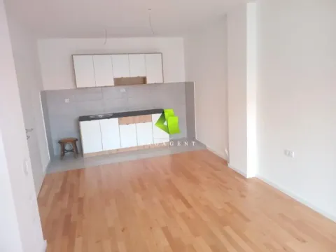 Rent, one bedroom apartment, 47m², Ledena Stena, Niš - image 1