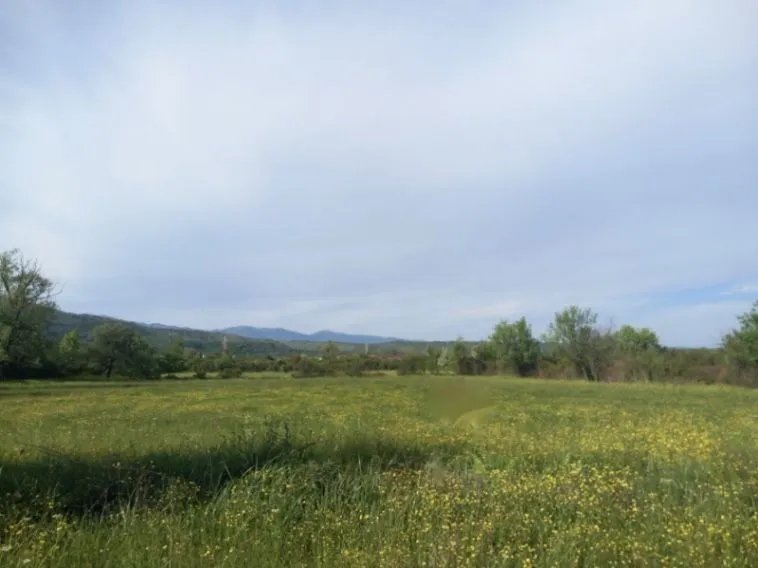 Prodaja, plac, 4074m², Pistula, Ulcinj