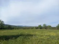 Prodaja, plac, 4074m², Pistula, Ulcinj - image 1