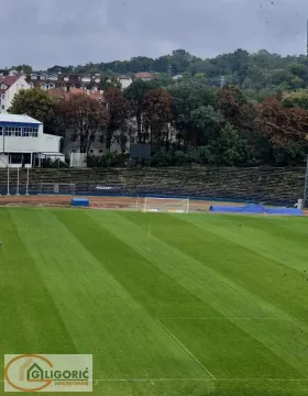 Prodaja, jednosoban stan, 56m², Bogoslovija, Palilula Sve Podlokacije - image 16