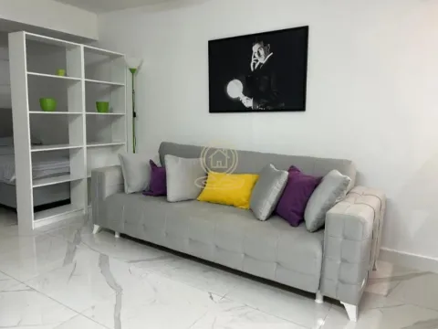 Rent, one bedroom apartment, 30m², Vračar Sve Podlokacije, Beograd - image 2