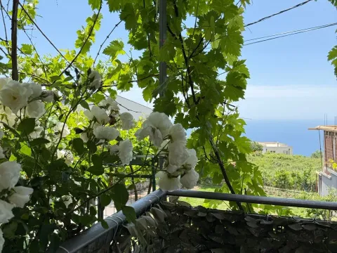 Rent, house, 110m², Dobre Vode, Bar - image 4