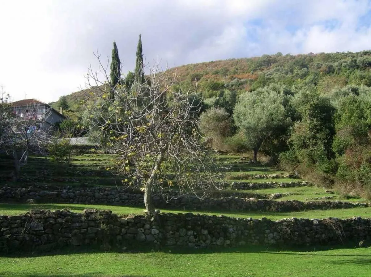 Prodaja, plac, 1900m², Bijela, Herceg Novi