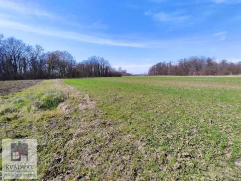 Sale, land lot, 182m², Brgule, Ub - image 7