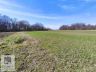 Prodaja, plac, 182m², Brgule, Ub - image 7