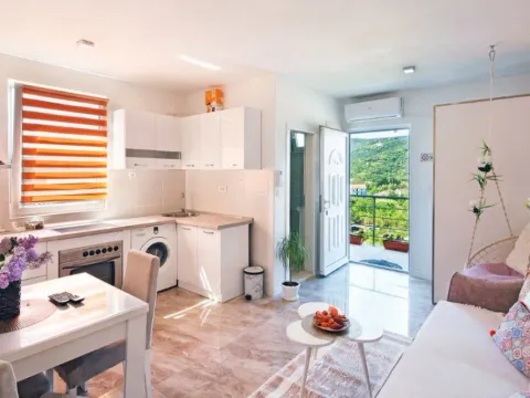 Izdavanje, jednosoban stan, 50m², Radanovići, Kotor - image 8