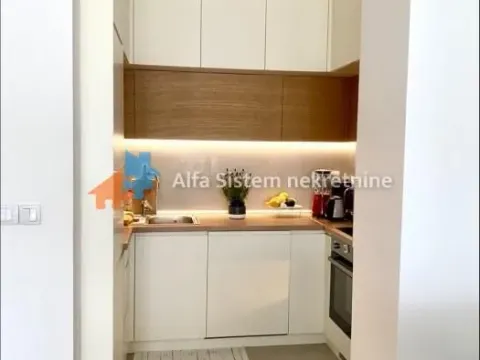 Izdavanje, dvosoban stan, 57m², Novi Beograd Sve Podlokacije, Beograd - image 10