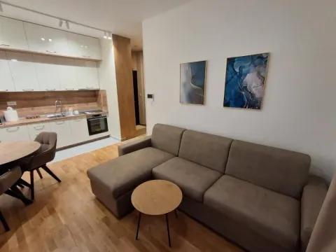 Rent, one bedroom apartment, 41m², Tološi, Podgorica - image 4