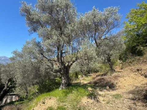 Prodaja, kuća, 54m², Zaljevo, Bar - image 1