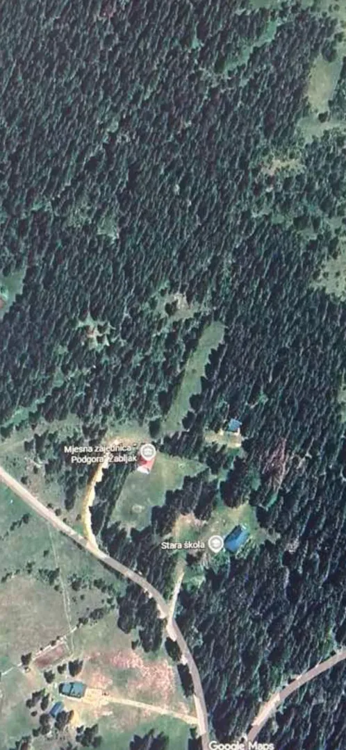 Satelitski snimak terena i šumskog područja.