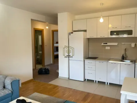 Izdavanje, dvosoban stan, 56m², Ljubović, Podgorica - image 3