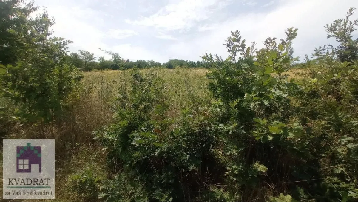 Sale, land lot, 1000m², Draževac, Obrenovac