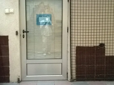 Rent, three bedroom apartment, 30m², Stari Grad, Beograd - image 8