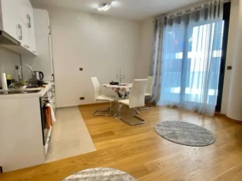 Izdavanje, jednosoban stan, 45m², Kod Capital Plaze, Podgorica - image 5