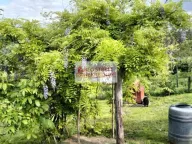 Prodaja, kuća, 148m², Senaja, Mladenovac - image 3