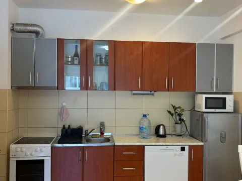 Rent, one bedroom apartment, 39m², Velji Vinogradi, Budva - image 3