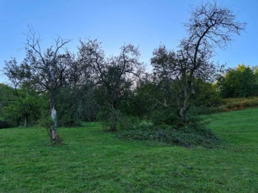 Prodaja, plac, 64450m², Resnik, Bijelo Polje