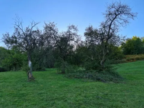 Sale, land lot, 64450m², Resnik, Bijelo Polje - image 6