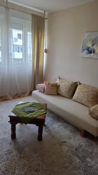 Dnevna soba sa kaučem, stočićem i prozorom sa zavjesama. - image 5