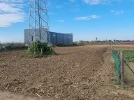 Prodaja, plac, 10000m², Surčin, Beograd - image 6